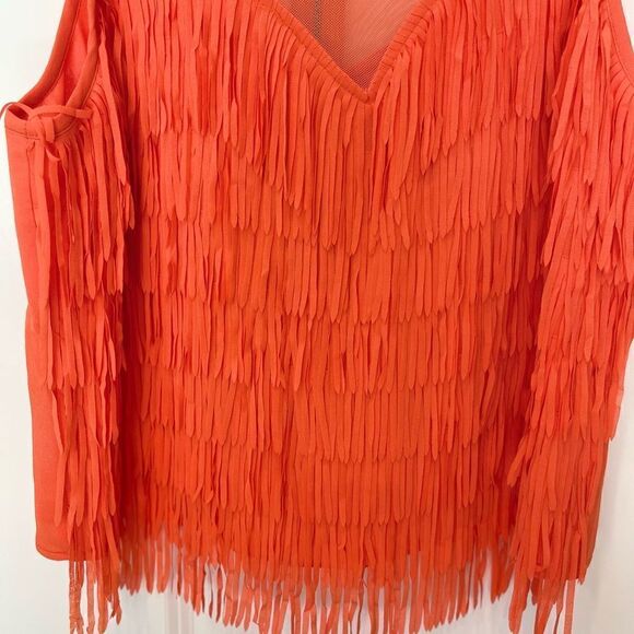 Naked Zebra Fringes Mesh Cropped Sleeveless Top.Size M - Picture 7 of 12